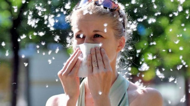 Как победить аллергию народными средствами